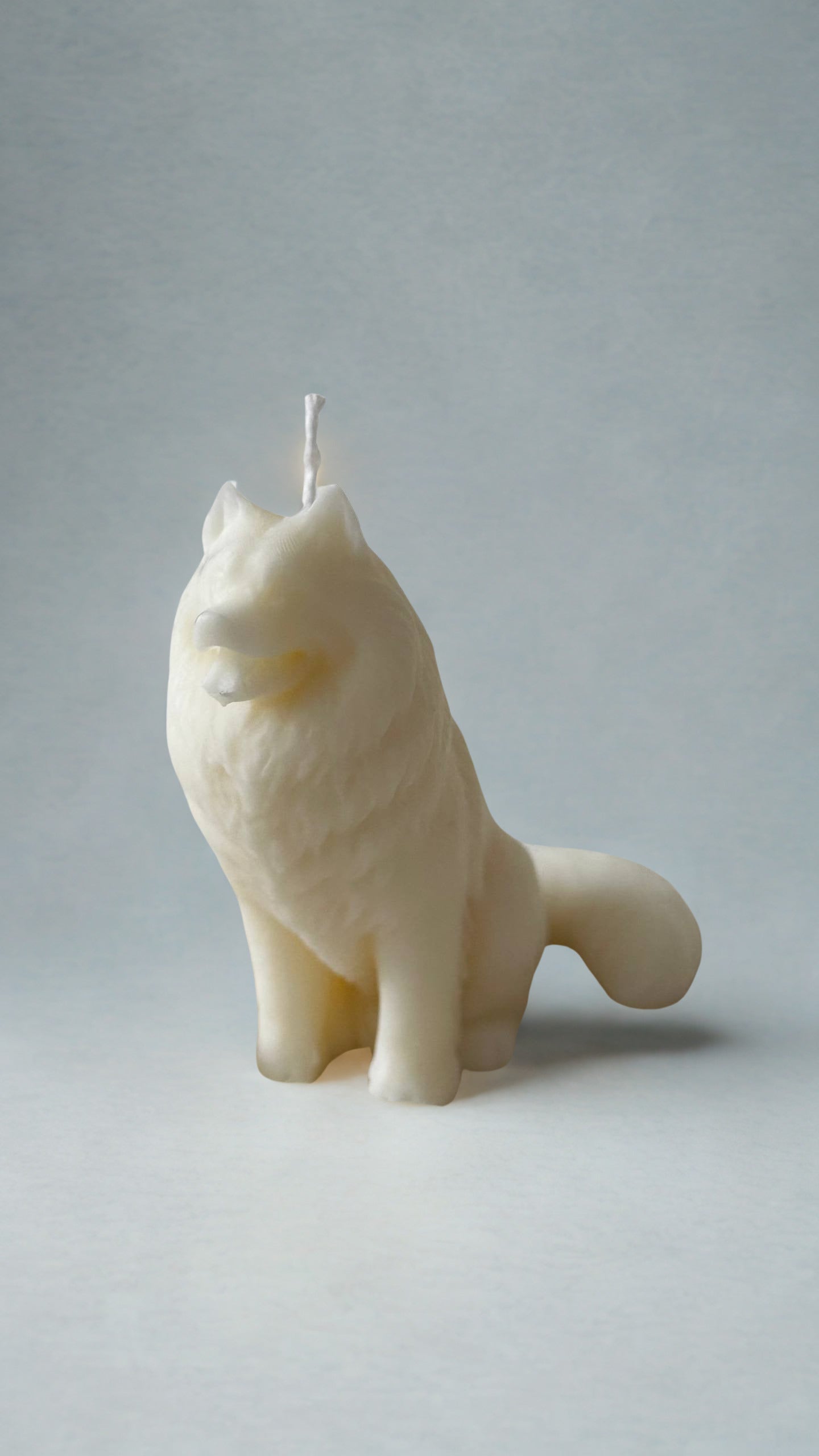 Custom Dog Candle